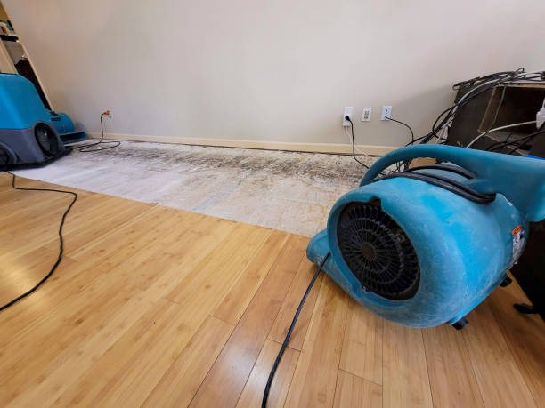 Professional Ceiling Water Damage Repair technician working in Middletown, DE